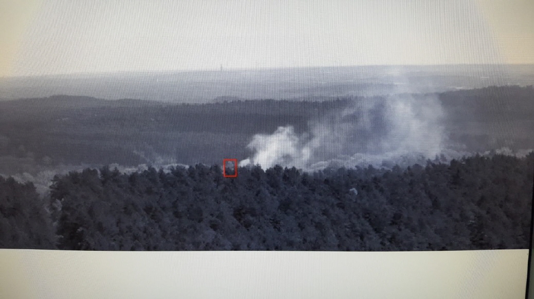 Bild der Waldbrandkamera